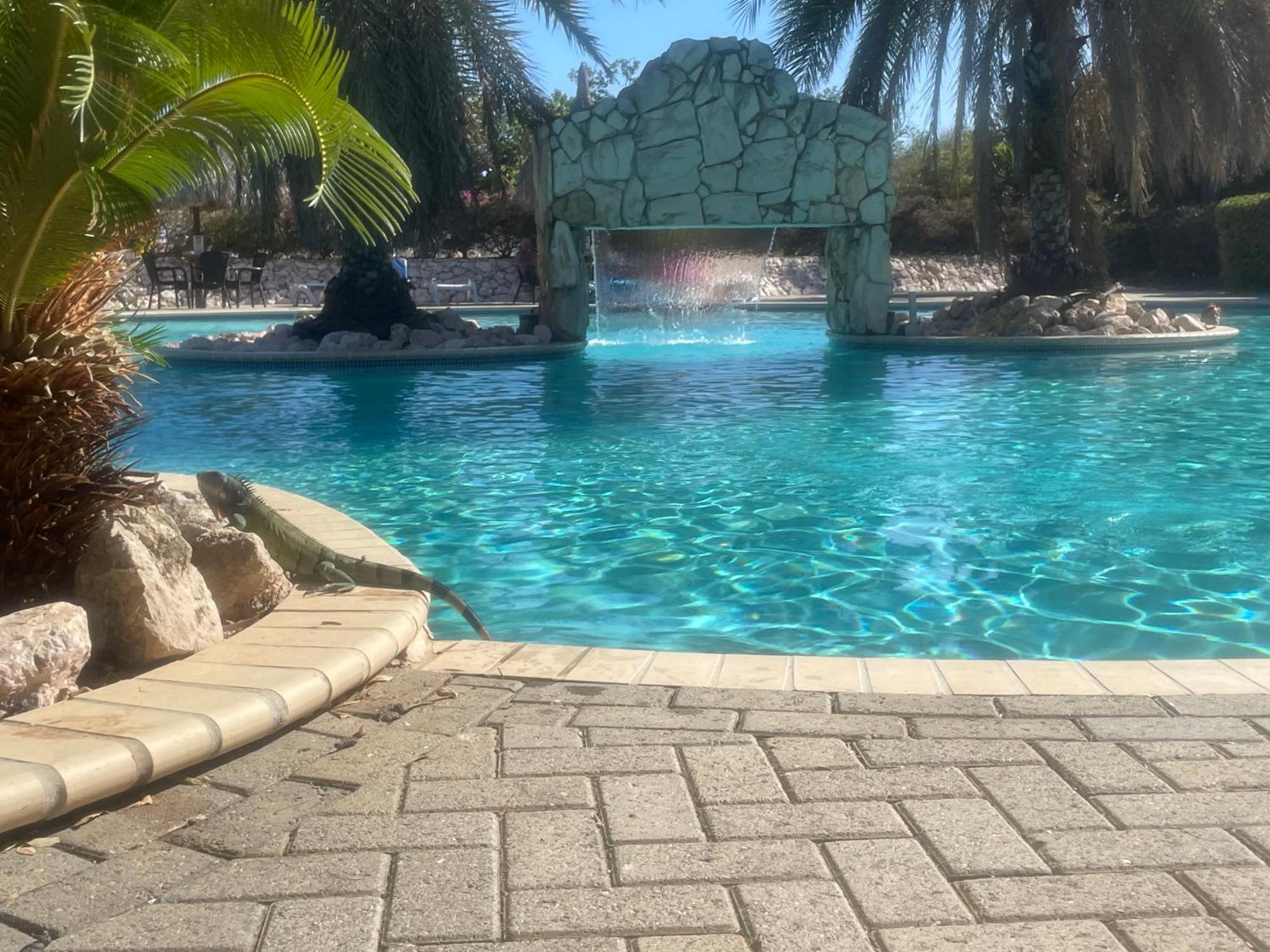Kas Di Bami A-186 Op Seru Coral Resort - Ruim Appartement Met Groot Zwembad En Tropische Tuin Виллемстад Экстерьер фото